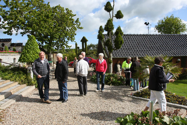 sommerturfyn 006